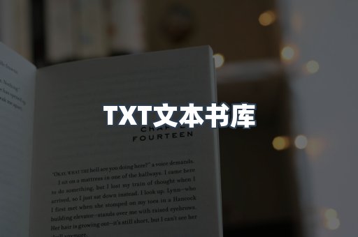 TXT文本书库